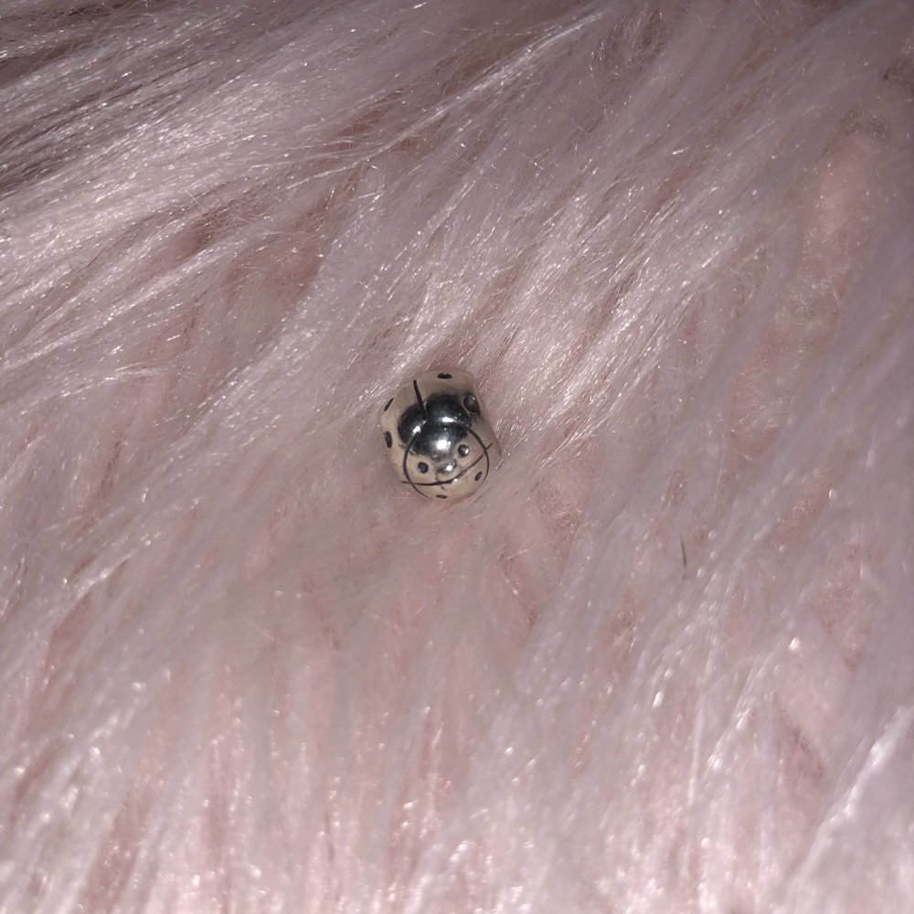 Lady Bug Pandora Charm